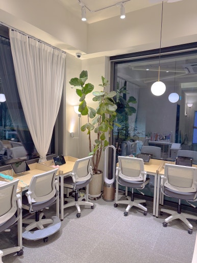 Study area